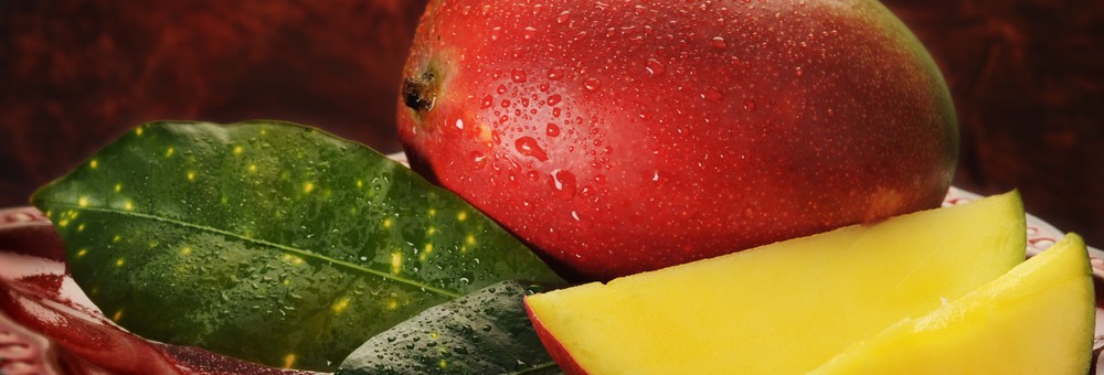 Mango Festival 2017