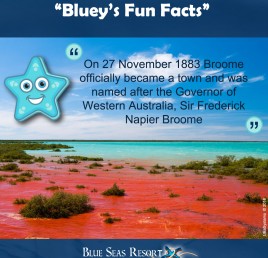 “Bluey’s Fun Facts”